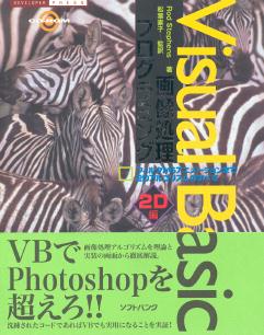 Visual Basic Graphics Programming, Vol 1 (Japanese)