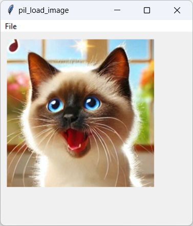[An image loaded at runtime with Python and PIL]