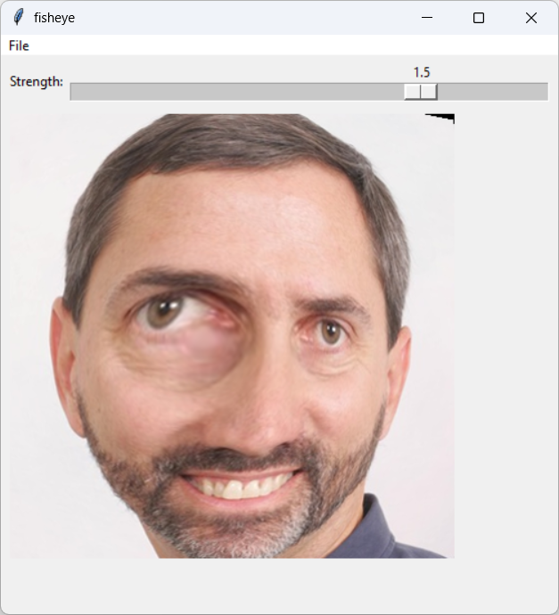 [An image warped by a fisheye transformation]