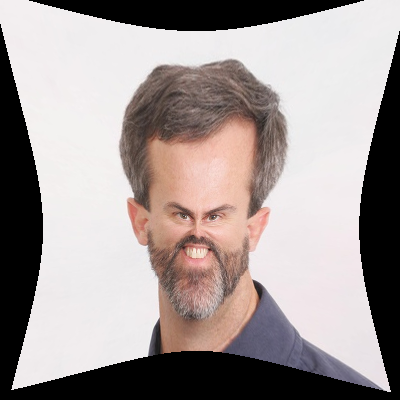 [An image warped by a pinch transformation]