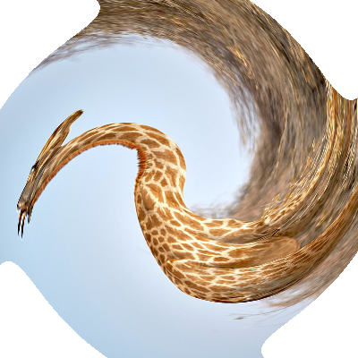 [An image warped by a twisting transformation]